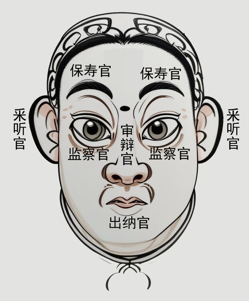 面相五官图